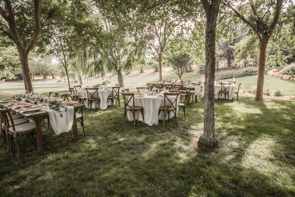dream wedding at Bella Terra in Paso Robles with vineyard views